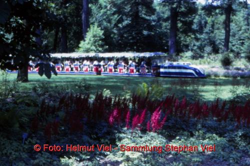Dunkelblauer Zug an der Fasanengartenmauer, Copyright Helmut Viel, Sammlung Stephan Viel01