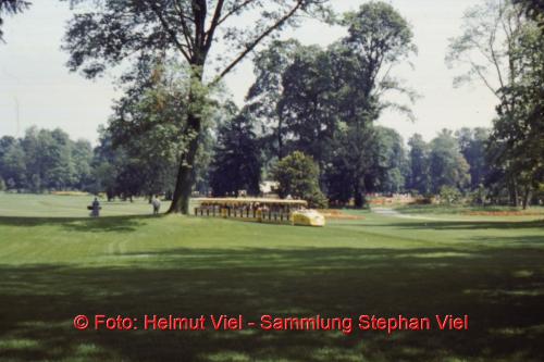 Gelber Zug Einfahrt Bahnhof, Copyright Helmut Viel, Sammlung Stephan Viel01