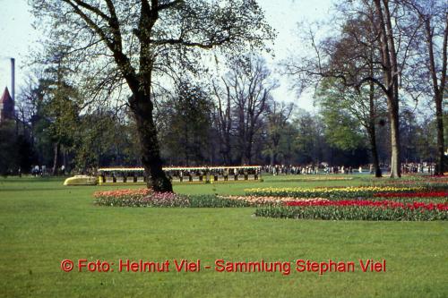 Gelber Zug Schlosswiese-02, Copyright Helmut Viel, Sammlung Stephan Viel01