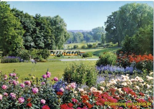 IMG 20190710 0044 (1) (1) (1) (1)