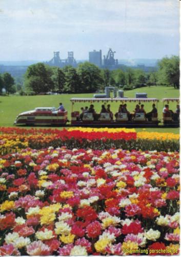 IMG 20190710 0050 (1) (1) (1) (1)