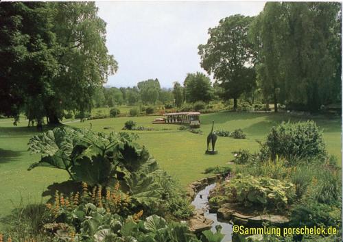 IMG 20190711 0002 (1) (1) (1) (1)