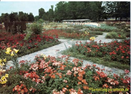 IMG 20190711 0007 (1) (1) (1) (1)