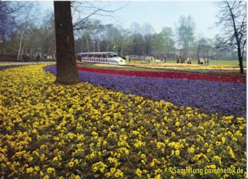 IMG 20190711 0008 (1) (1) (1) (1)