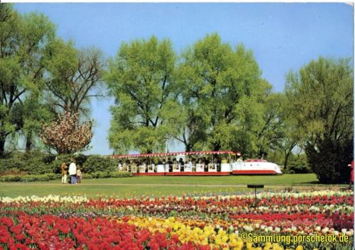 IMG 20190711 0015 (1) (1) (1) (1)