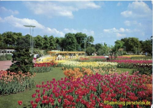 IMG 20190711 0029 (1) (1) (1) (1)